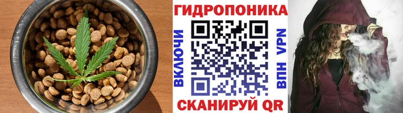 Cannafood марихуана  продажа наркотиков  Заинск 