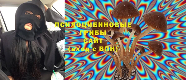 дмт Алзамай