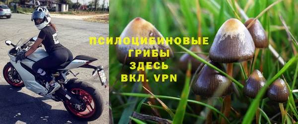 мяу мяу мука Алексин