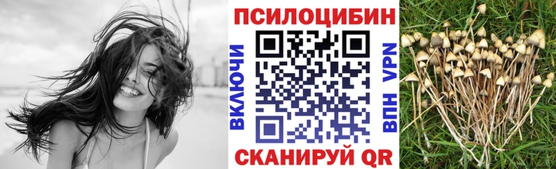 магазин  наркотиков  Заинск  Псилоцибиновые грибы Psilocybe 
